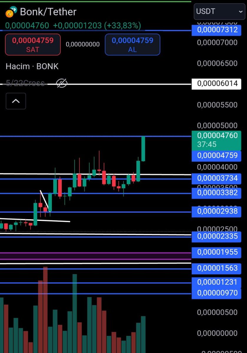 $BONK ÜZÜMLÜ KEKİM BENİMM TÜM YAZ DÜŞÜŞÜNDE SENİ DİPTEN TOPLARKEN BUGÜNÜN HAYALLERİNİ KURUYORDUM. 🔥

BONK NEW ATH🔥🔥🔥

#bonk #floki #myro #pepe #wif