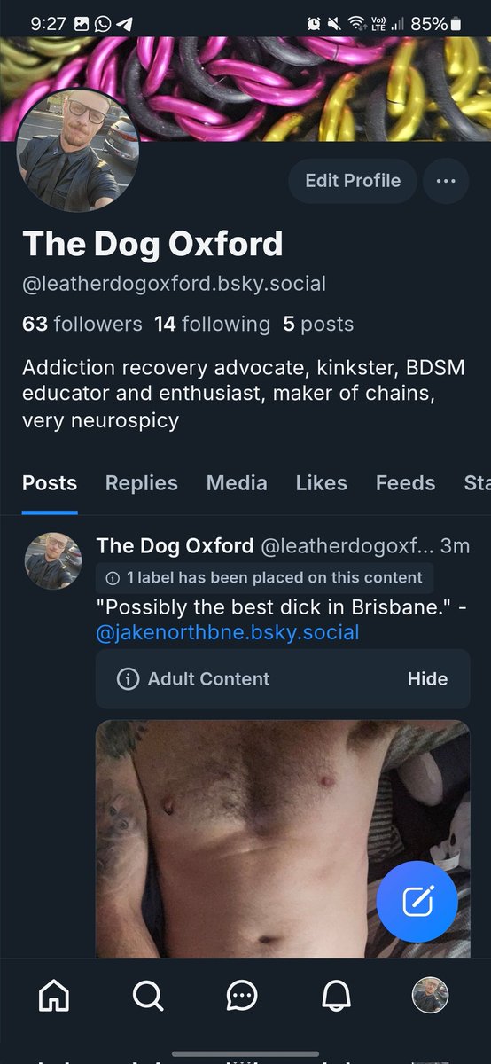 Leather Dog Oxford tweet media