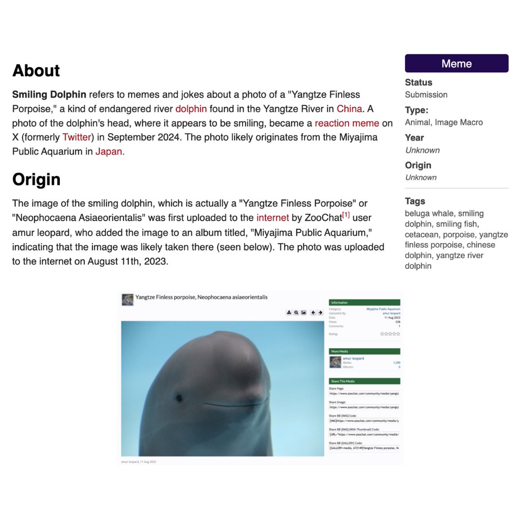 Smiling Dolphin | Miharu tweet media