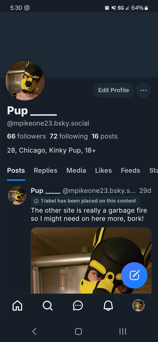 Pikeone2's tweet photo. I'm gonna Metroid countdown this account so here is where to find me 😶 https://t.co/OvodYeysOU
