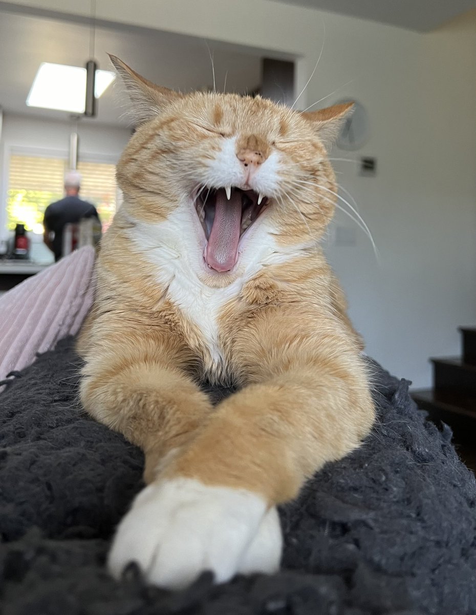 If you can see this: Follow me on 🦋 <a href="/kim/">Kim</a>-rock.bsky.social