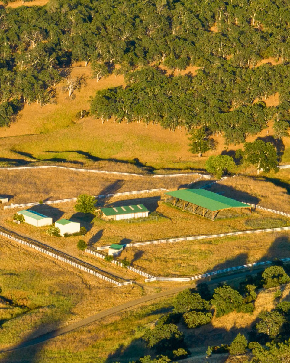 CAOutdoorProps's tweet photo. Escape to the boundless beauty of Buckeye Creek Ranch—a 9,493-acre paradise in Guinda, CA! 🌄 

Learn more: https://t.co/5EaXuxkWcQ https://t.co/J67d66C3HR