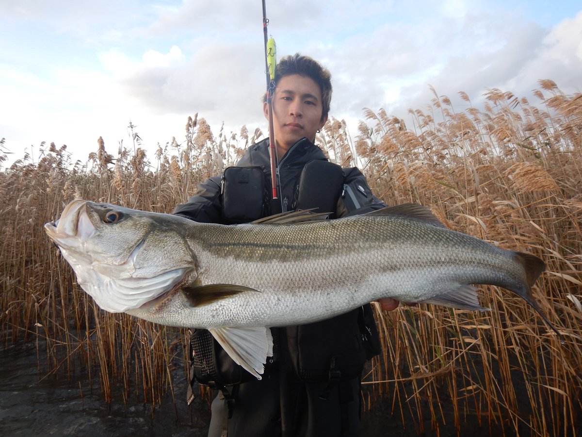 kobaseabass703's tweet photo. トップでバコンとゴン太ランカー釣れた！
いい魚釣れると嬉しいなぁー☺️ https://t.co/RVk8CqSAHf
