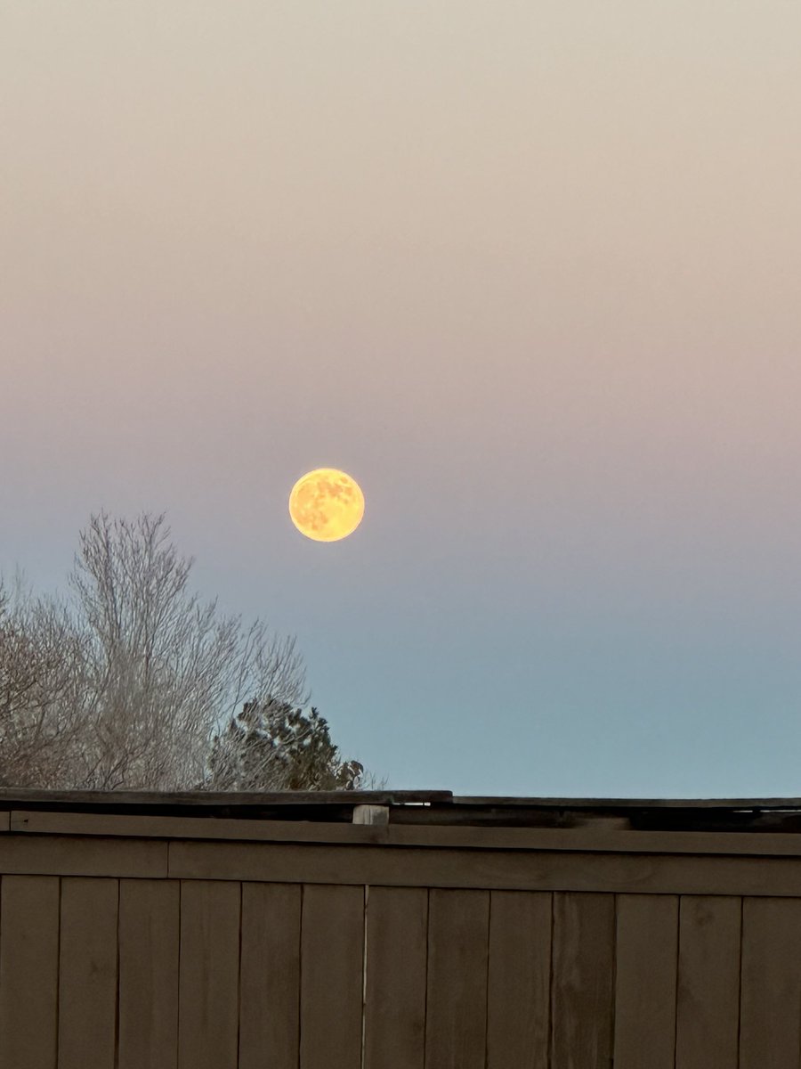 The 🌕 Moon! Some answers for the week at school perhaps! It sure is beautiful…