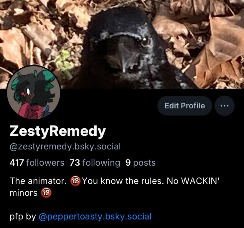 ZestyRemedy tweet media