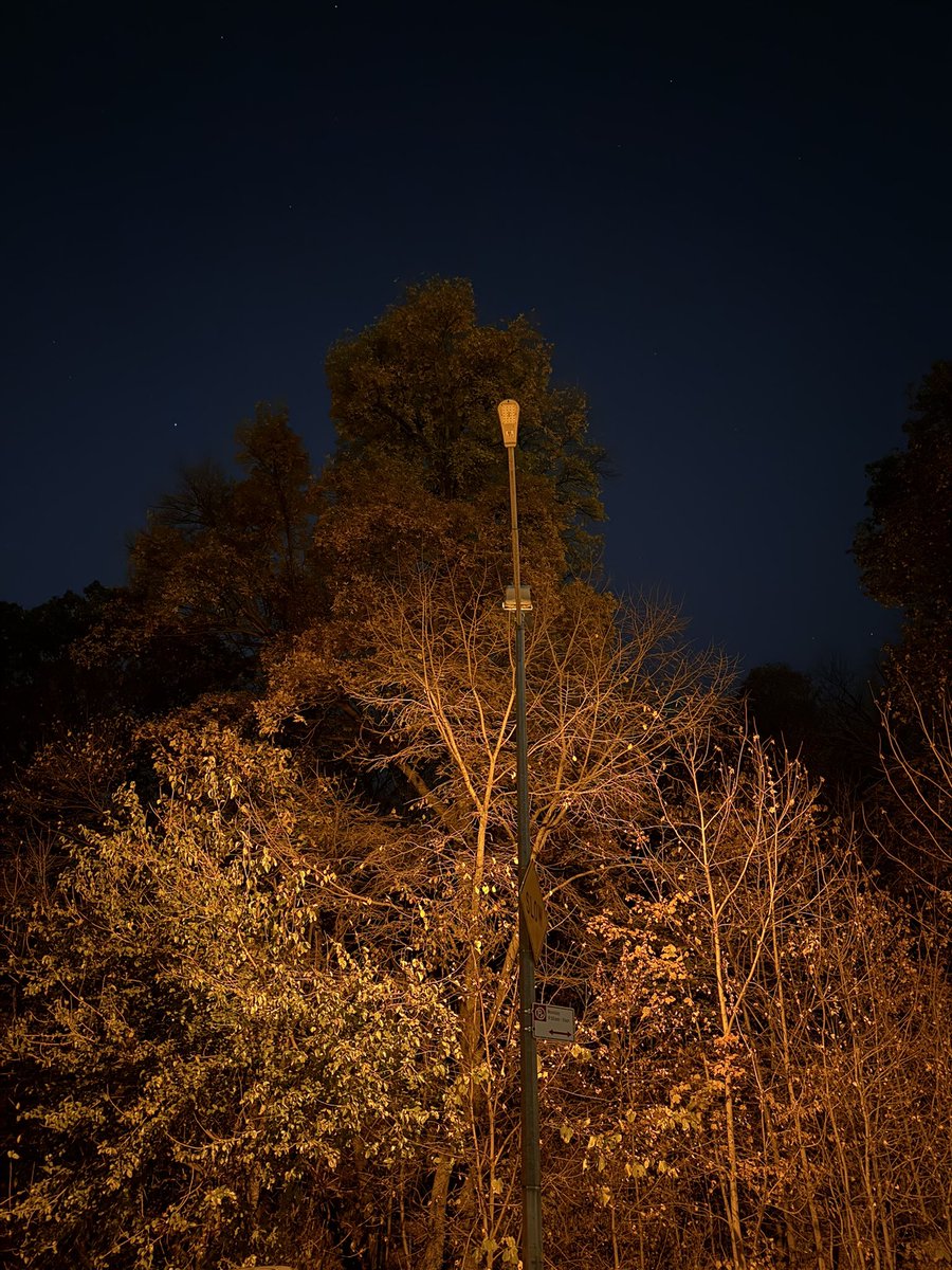 DyckmanDemocrats tweet media