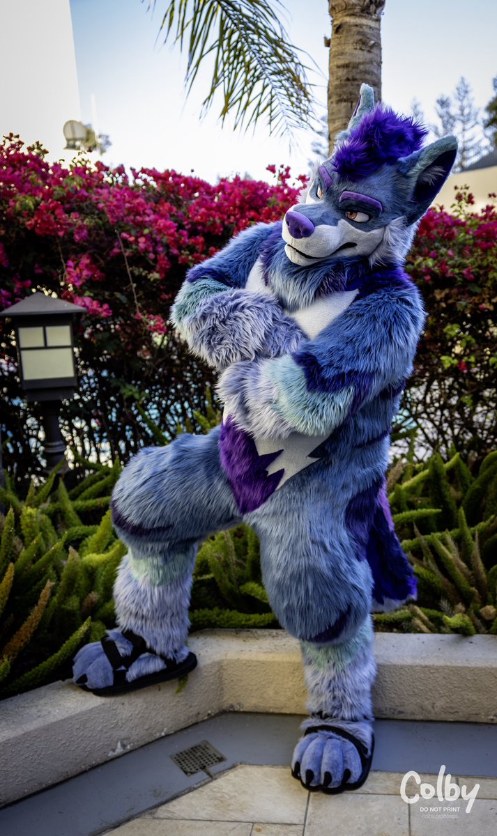 You called for dad? #FursuitFriday
📸: <a href="/colby_husky/">Colby! - colby.dog</a>