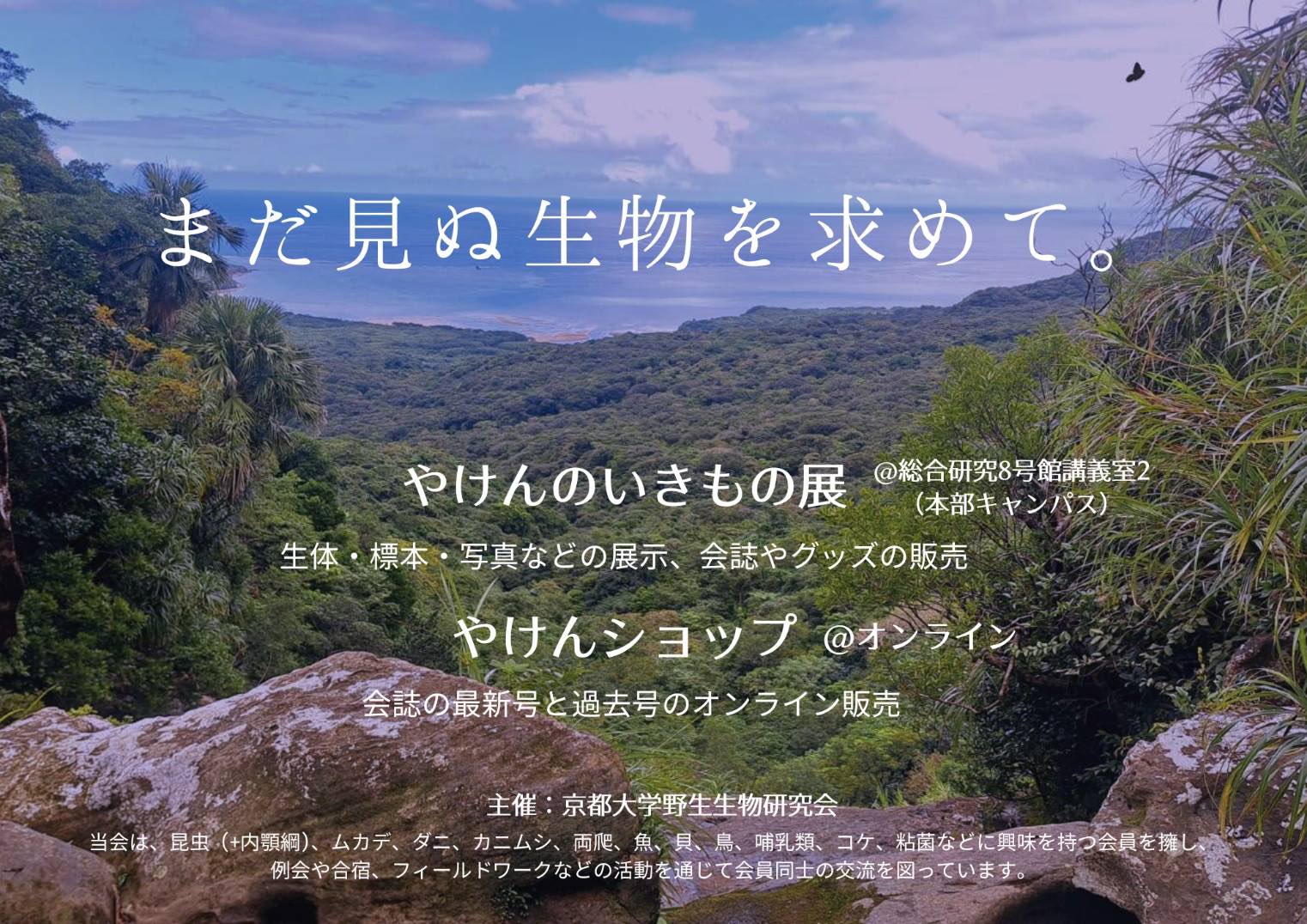 Amazon.co.jp: 杉峠（京都蝶の会会誌）1～14号 昆虫 蝶 京都