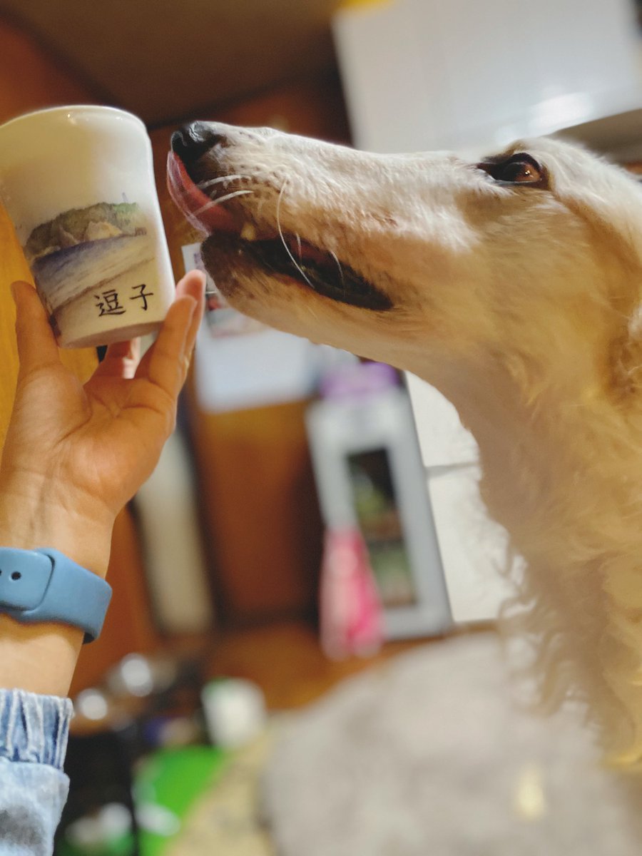 ganbor_zoi's tweet image. プリンは食べちゃダメ？がんぼるぞい
…

translation:
Is it bad to eat pudding...?