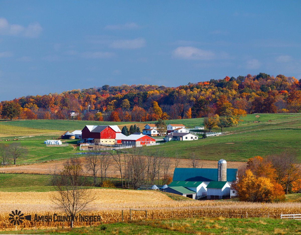 Stunning.
#amishcountryinsider #amishcountry #amish