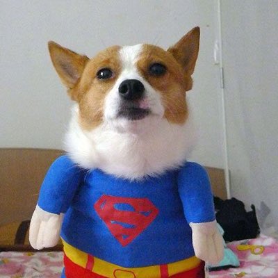 aewsomecougar's tweet photo. #NewProfilePic https://t.co/hBTPtWEwZo
