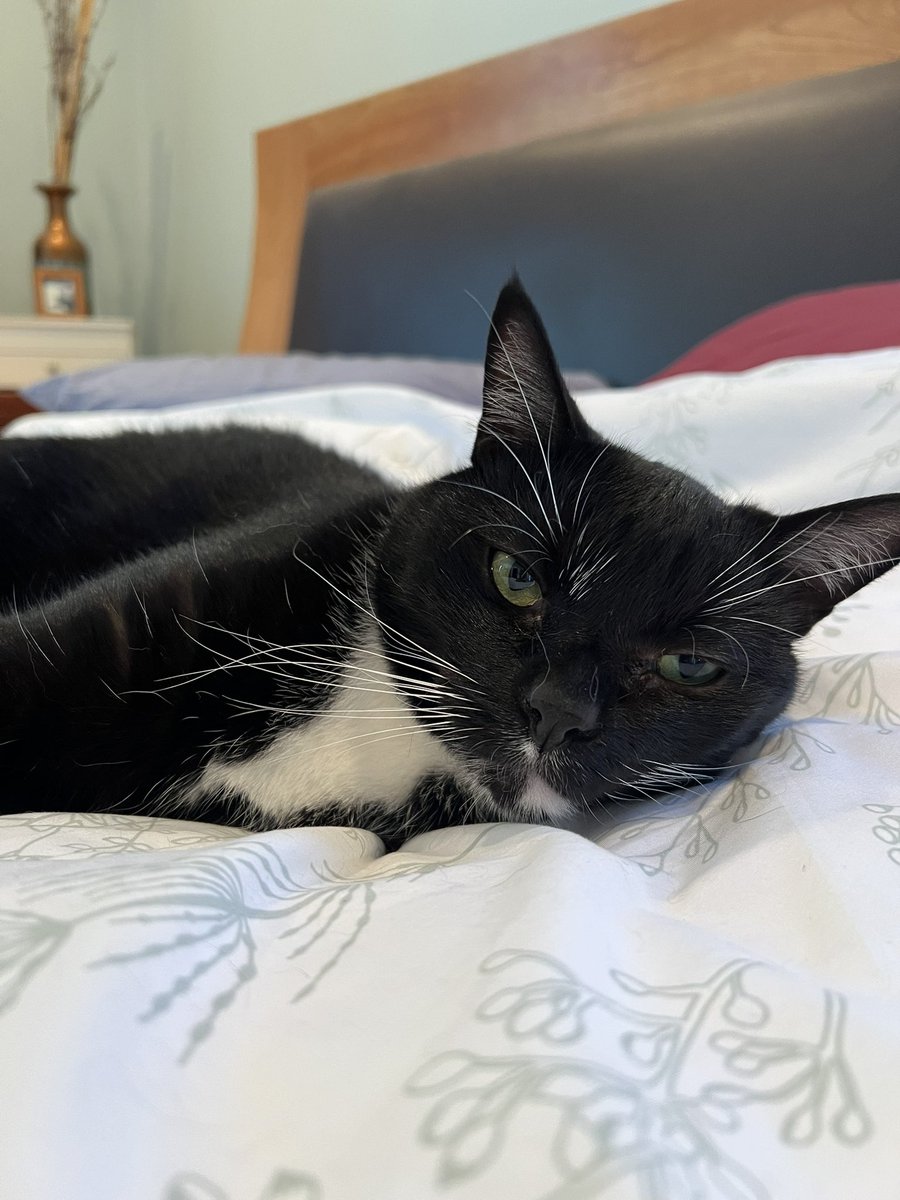 Happy Friyay from us!