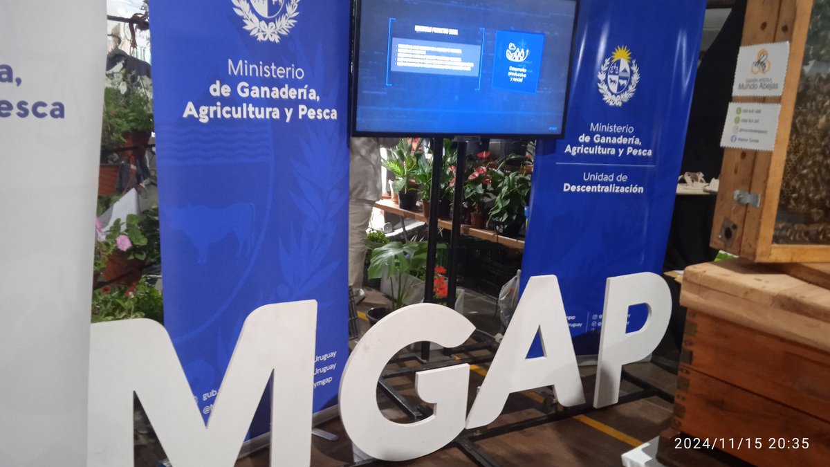 aguiarpatricia7's tweet photo. #Ahora @MGAPUruguay dirección dptal #Colonia en 30a. Fiesta de #ColoniaValdense Sin dudas la colmena es la atracción del público, diferentes edades tratando de identificar la reina. Apoyando el trabajo de #mujeresrurales y la producción granjera de la zona #DIGEGRA #descentraUy https://t.co/dNkjx4SEaZ