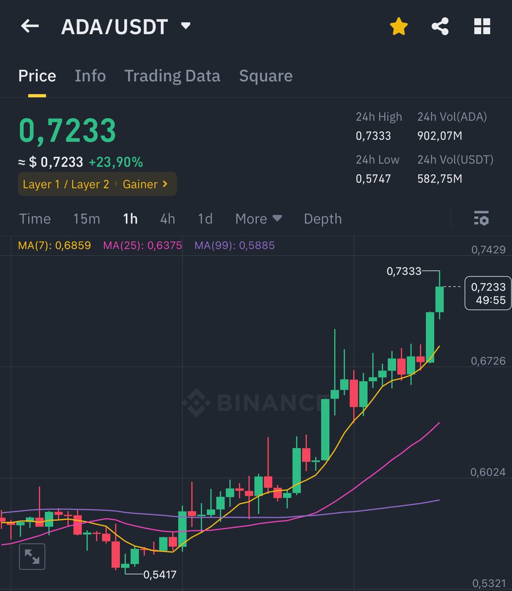 🎉 BREAKING: ADA $0,7233 +23,90%