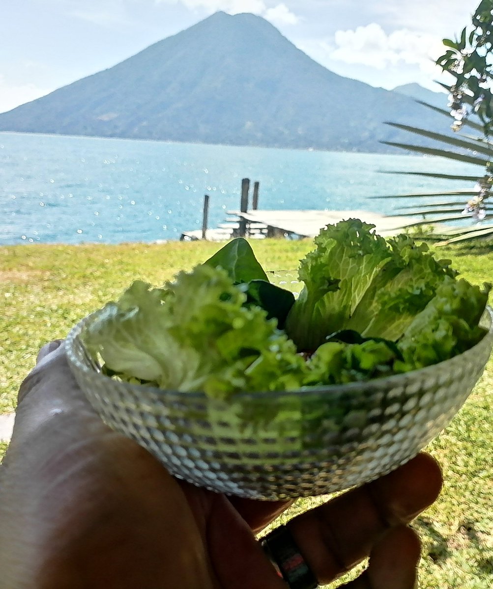 luissicajan's tweet photo. Una tarde de descanso #lagodeatitlan https://t.co/QAAXyDtLzU
