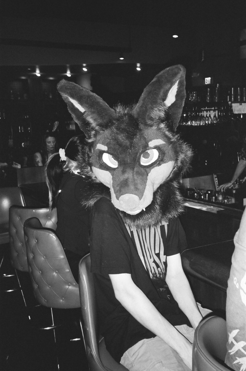 Bar Furs  1995 Minolta Freedom Zoom 140 Camera with Kodak Tri-X 400 film
#fursuitfriday