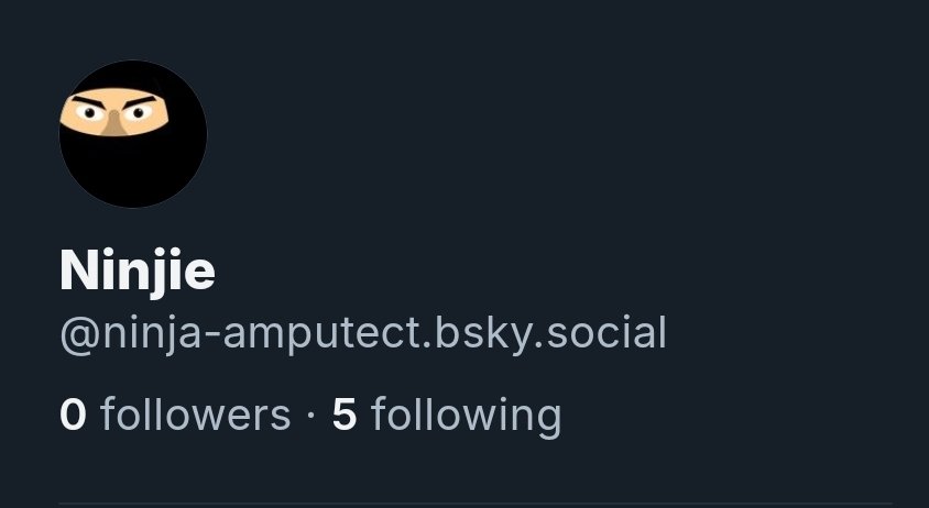 NinjaAmputect's tweet photo. At the end of the month I will be leaving this bot-ridden hellscape. Follow me in the sky if you'd like https://t.co/K6ZMG6xvBN