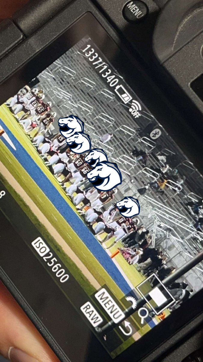 BarstoolBVN's tweet photo. What the fuck is it with you guys??? Get ready to suck this mustang dick https://t.co/EmRKoDVxMc