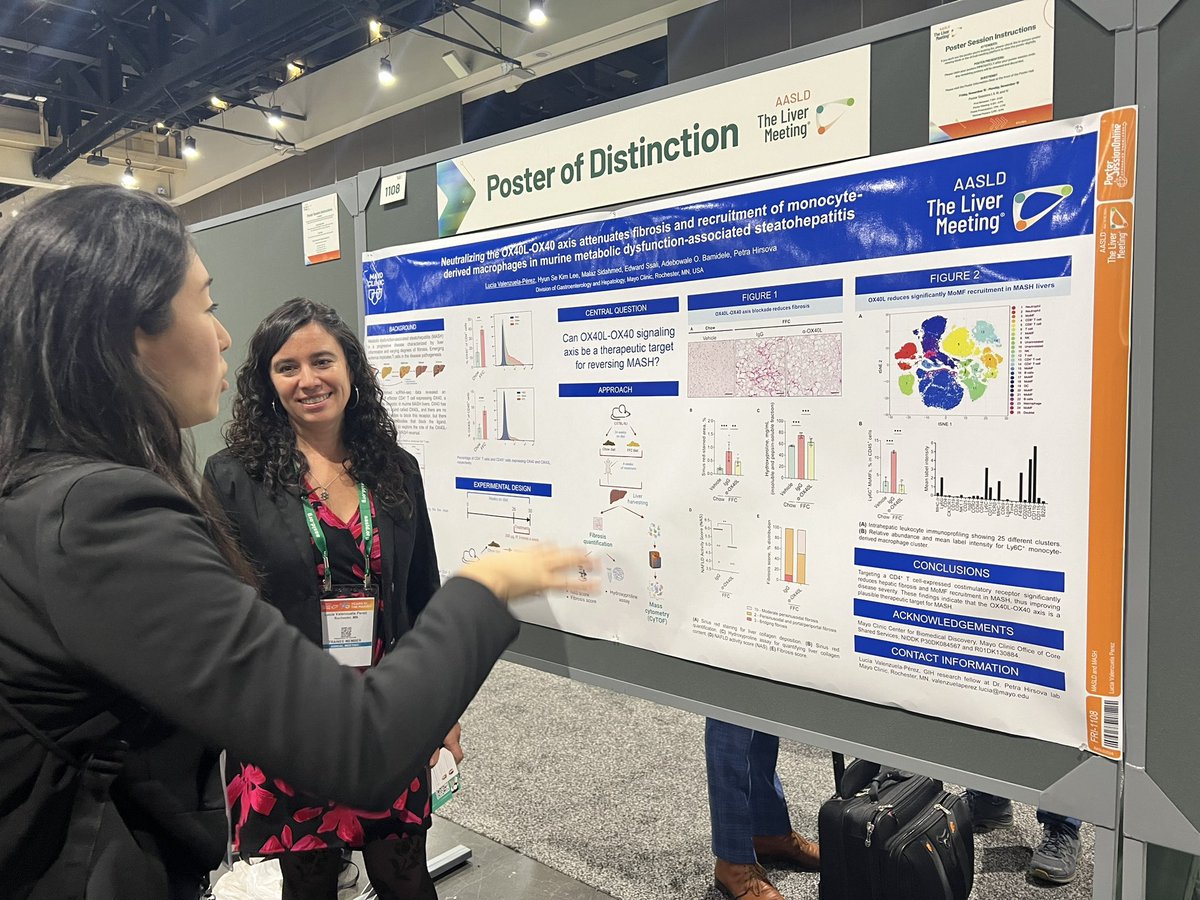 Hot topics of MASH research from our big groups presented by Valenzuela Perez, Lucia T., D.V.M., Ph.D. , Khaled Warasnhe, and Daniel Kim Lee <a href="/PetraHirsova/">Petra Hirsova</a> <a href="/SamarHIbrahimMD/">Samar Ibrahim</a> #TLM2024