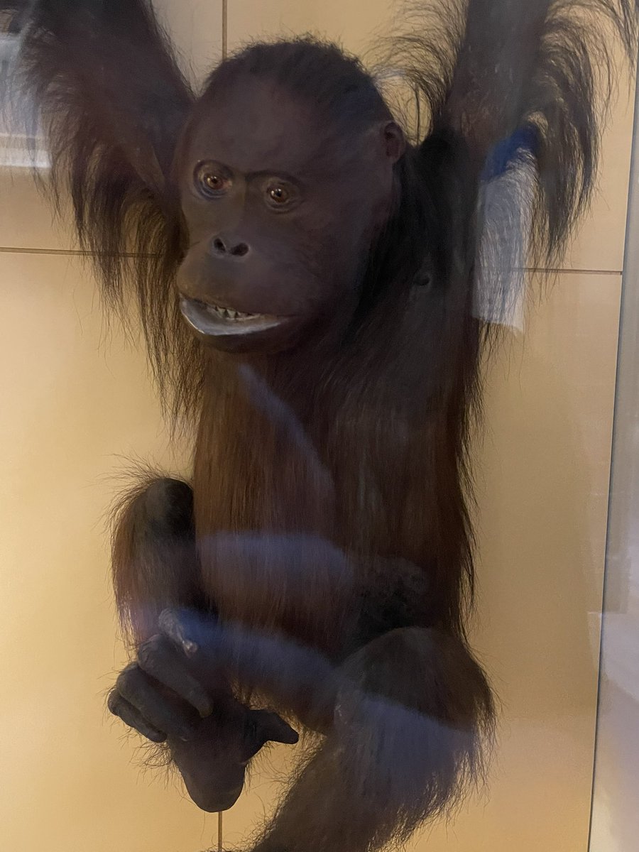 ryan magee from <a href="/SuperMegaShow/">SuperMega</a> ?!