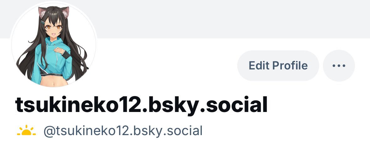 TsukiNeko tweet media