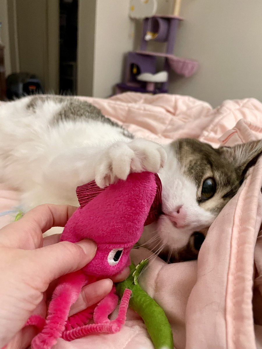 im told momb get me squide just like <a href="/peepersbiscuits/">Peepers 🏳️‍🌈🏳️‍⚧️💕</a> or ELSE