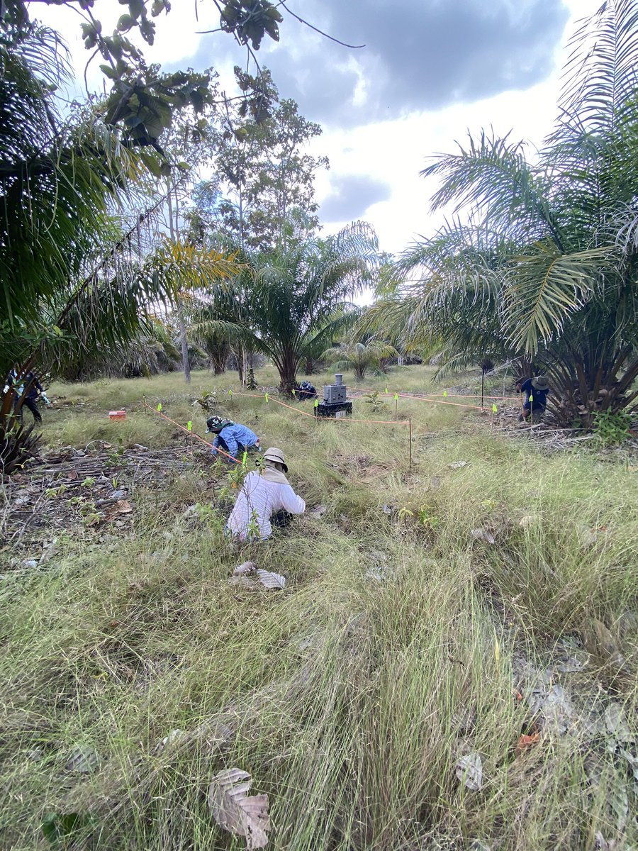 Vanina Guernier, PhD 🦠🧬 tweet media