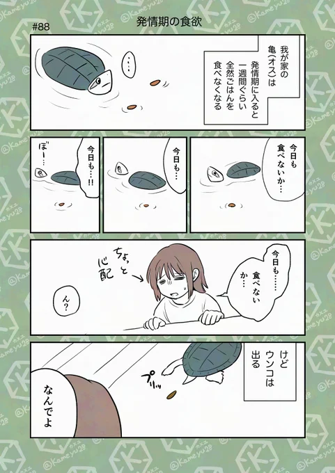 亀飼い漫画「発情期の食欲」 
