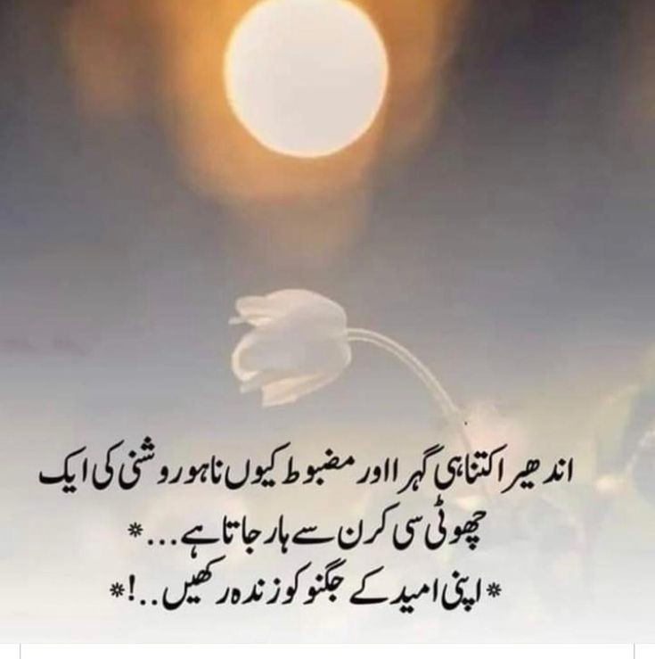 Alia Ferdous tweet media