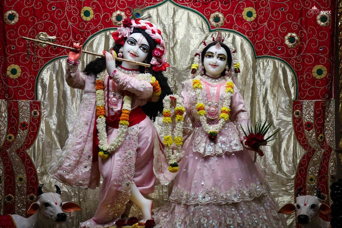 ISKCONPune's tweet photo. 🌷Mangal Arati Darshan🌷🗓16/11/2024🙏🚩@ISKCONNVCCPune🚩
.
.
#ISKCONNVCC #ISKCONPune #ISKCONNVCCPune #ISKCON #16thnovember #16thnovember2024 #Saturday #Harinaamsankirtan #Radheshyamdas #Radheradhe #Sankirtan #Kirtan #Vrindavan #Mayapur #Prabhupada #GVE #Govardhanecovillage https://t.co/jj0G2wFBKK