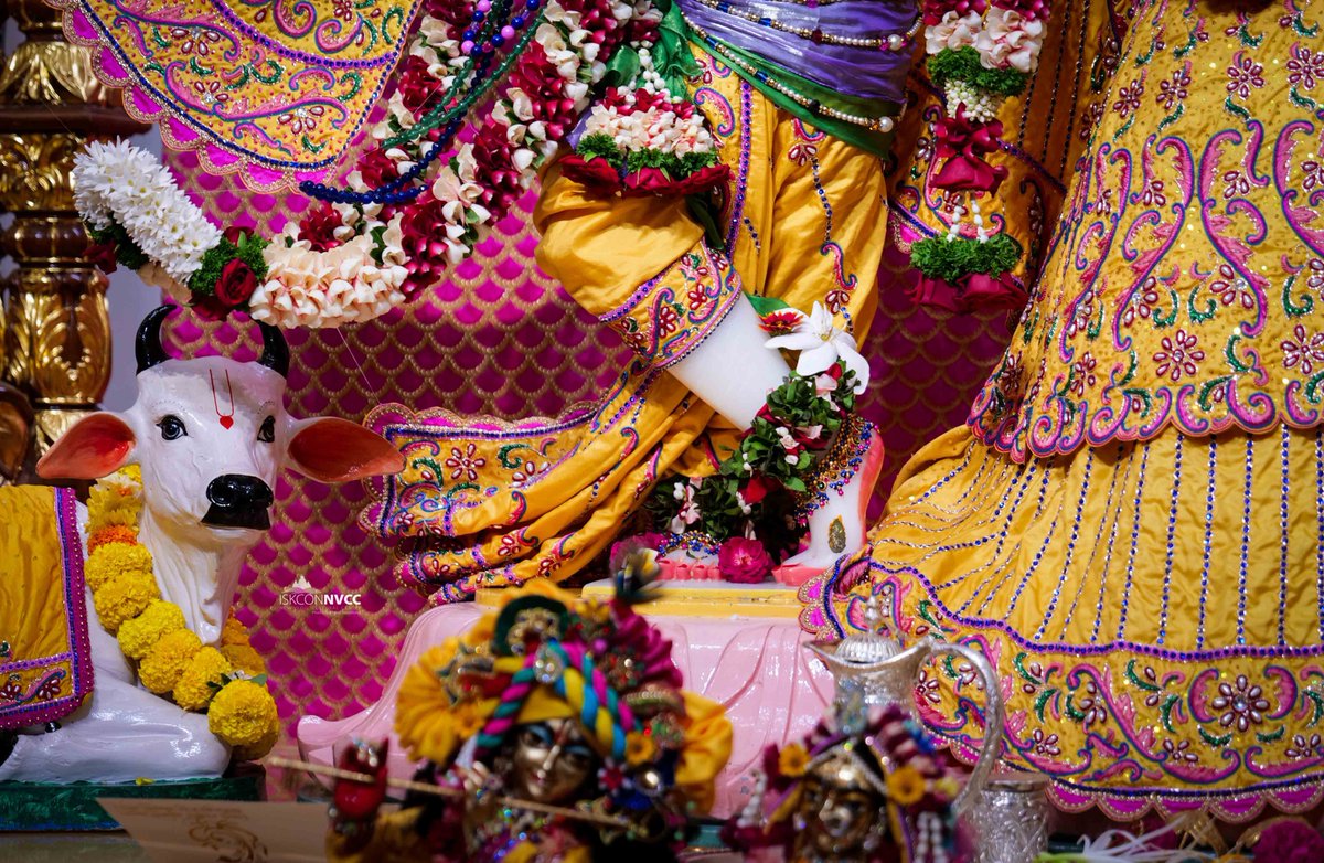 ISKCONPune's tweet photo. 🙏🏽Today's Darshan 📿 🗓16-11-2024🙏
🌷Sri Sri Radhavrindavanchandra🌷
🚩@ISKCONNVCCPune🚩
.
.
#ISKCONNVCC #ISKCONPune #ISKCONNVCCPune #ISKCON #16thnovember #16thnovember2024 #Saturday #Harinaamsankirtan #Radheshyamdas #Radheradhe #Sankirtan #Kirtan #Vrindavan #Mayapur #Prabhupada https://t.co/5laJcxbY5v