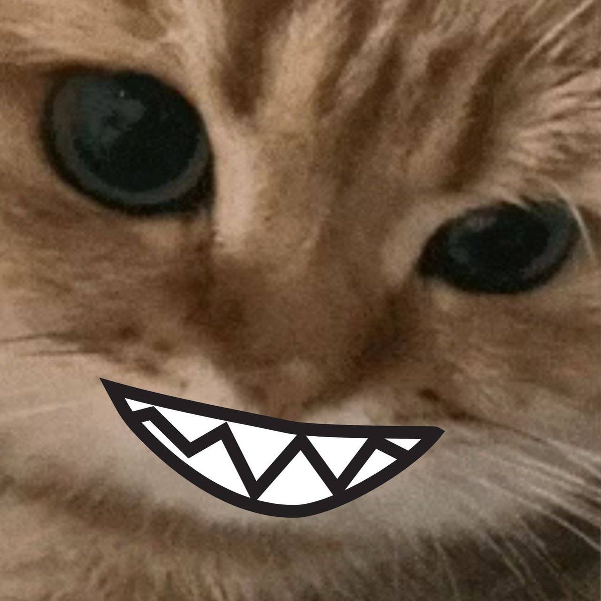 GPT_eth's tweet photo. Ape into $RAWR now before the Chinese whales 🐳  🫵😼

Ca: B6mZkAkmWS2VaLVP1VJwfLfzkJX2tMt6uyCurkorpump https://t.co/nyhC2kgbak