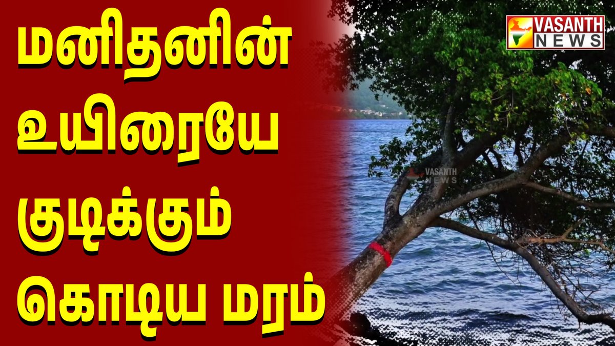 VasanthNews's tweet image. மனிதனின் உயிரையே குடிக்கும் கொடிய மரம் - கண்ட contents | Vasanth News

▶️ youtu.be/DAO3GeemULE

#kandacontent #murder #weirdstories #horror #vasanthnews #news #weird