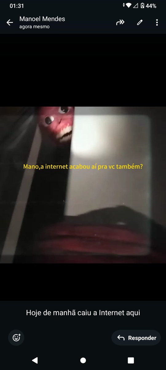 dog_annina's tweet photo. Um meme que meu irmão me mandou enquanto eu tava viajando pro Pará https://t.co/TGl74xED9Y