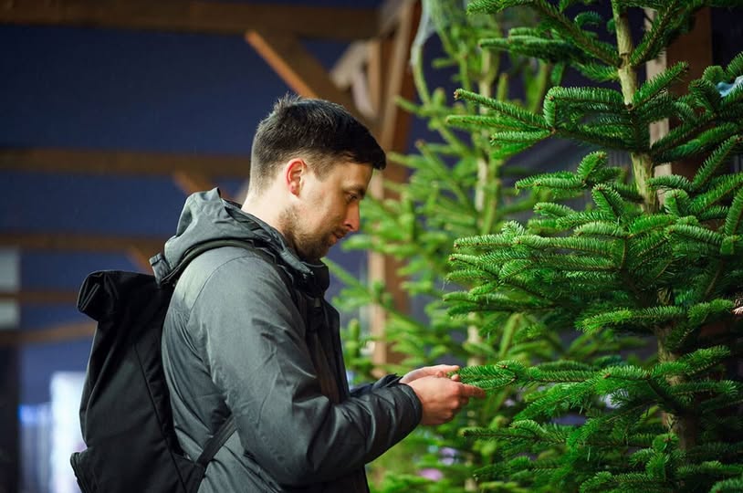 SUNDAY SEASONAL ADVICE
A real Christmas tree feels so much more special and, if you buy a growing one in a pot, you can use it year after year.
Read the STIHL guide...
The Ultimate Guide to Real Christmas Trees
blog.stihl.co.uk/ultimate-real-…
#gardener #gardening #garden #gardenlife