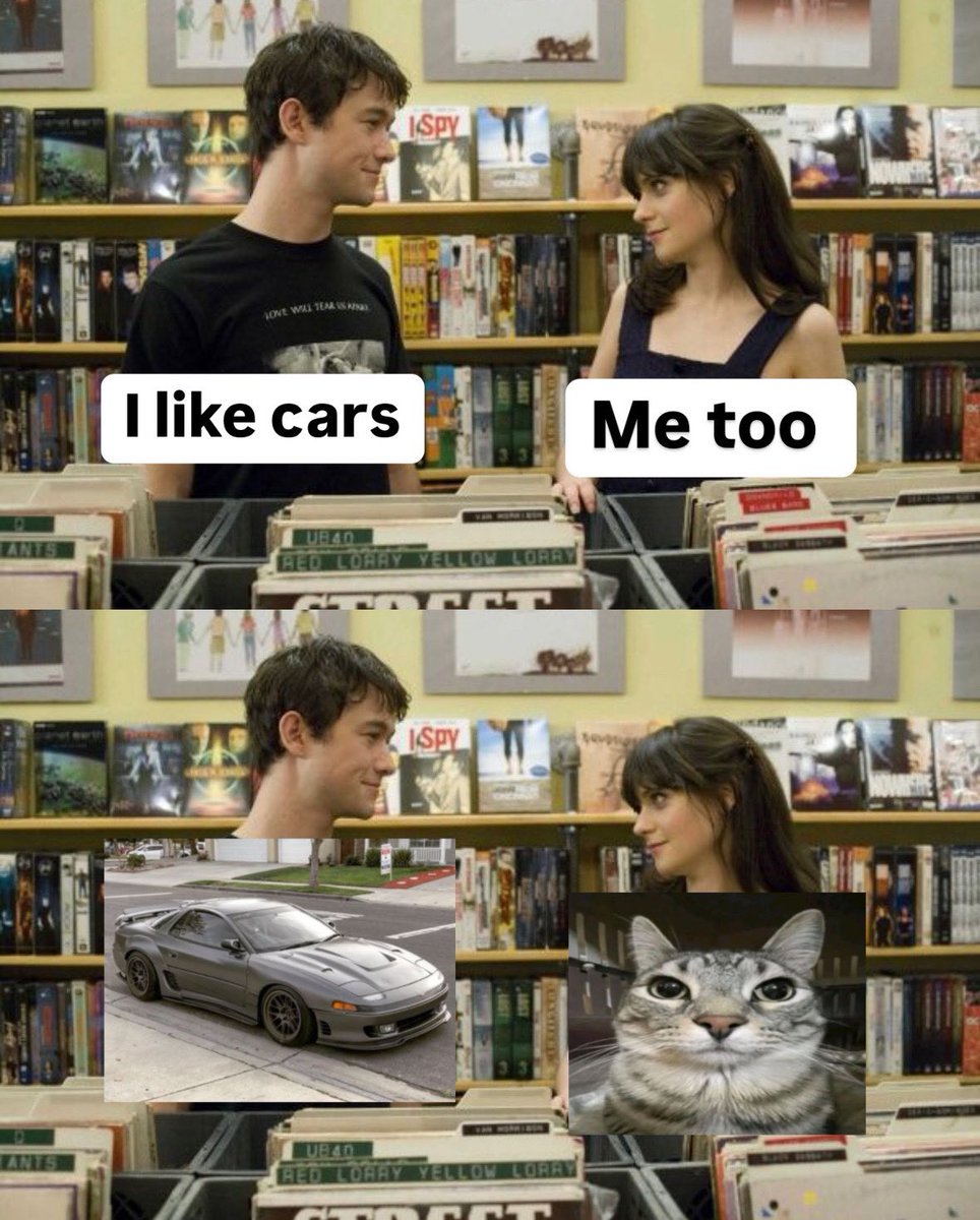 PunchingCat's tweet image. 