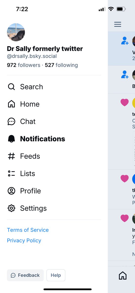 slsandpet 🐨🐨🖤🍉Dr tweet media