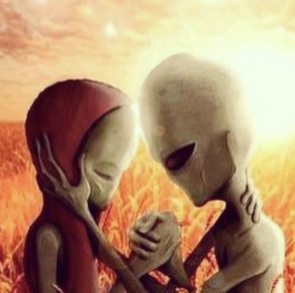 sinjinpool's tweet image. 