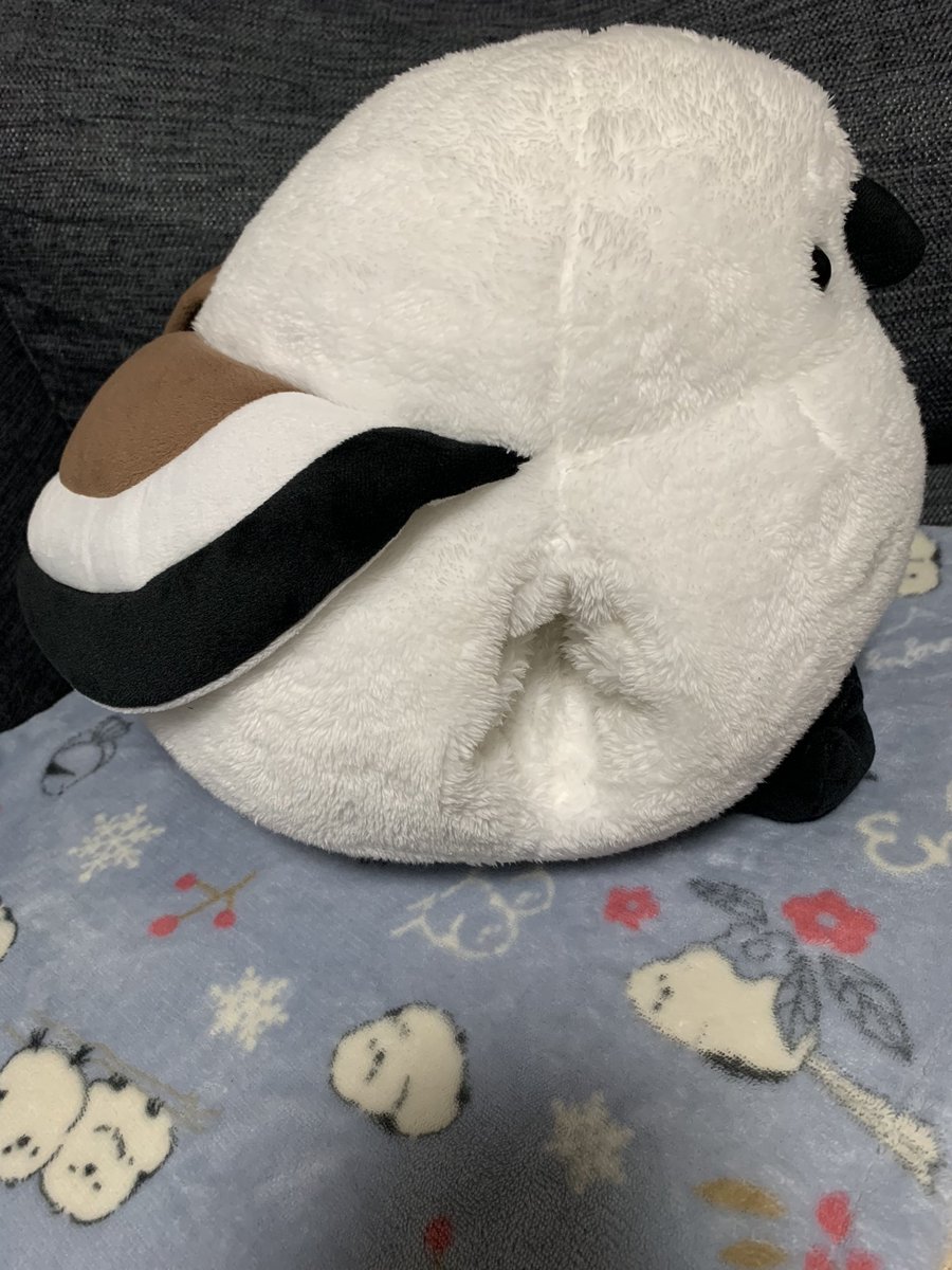 mirute93y's tweet photo. こんにちはー✨
フォローといいね沢山ありがとうございます🥹励みになります✨

うちの癒し系シマエナガの【まんじゅう】をご紹介します♪

可愛いだけじゃなくてお腹に手を入れてあったまることができます🥰モフモフでふわふわで日々の癒し♪ https://t.co/obz72DvKOn
