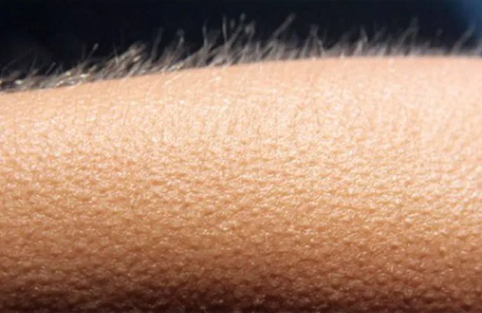 TuuitaWill's tweet photo. Apenas NUMB botando o Brasil inteiro pra cantar com toda força! Que pedrada! #LinkinParkNoMultishow #GloboplayPremium https://t.co/mJgCKhGMc7