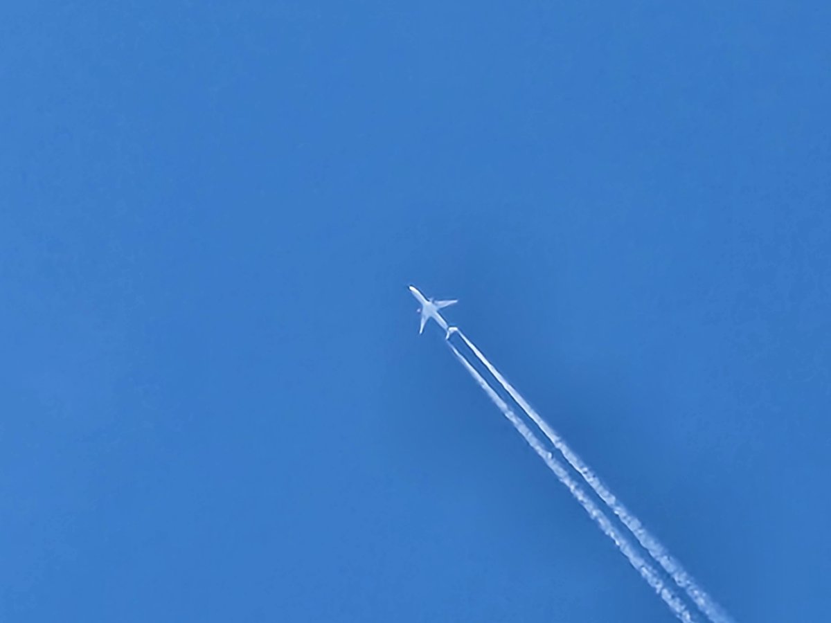 Enjoy the friendly bsky's....