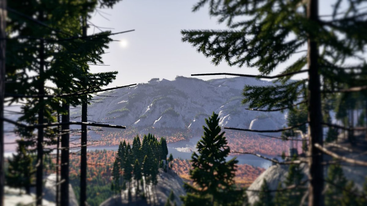 Our latest dev blog explores the creation of dense, immersive forests for our upcoming game “prologue”. We share how we balance realism and performance, revealing the tools and techniques used in the process. 

playerunknownproductions.net/news/creating-…
