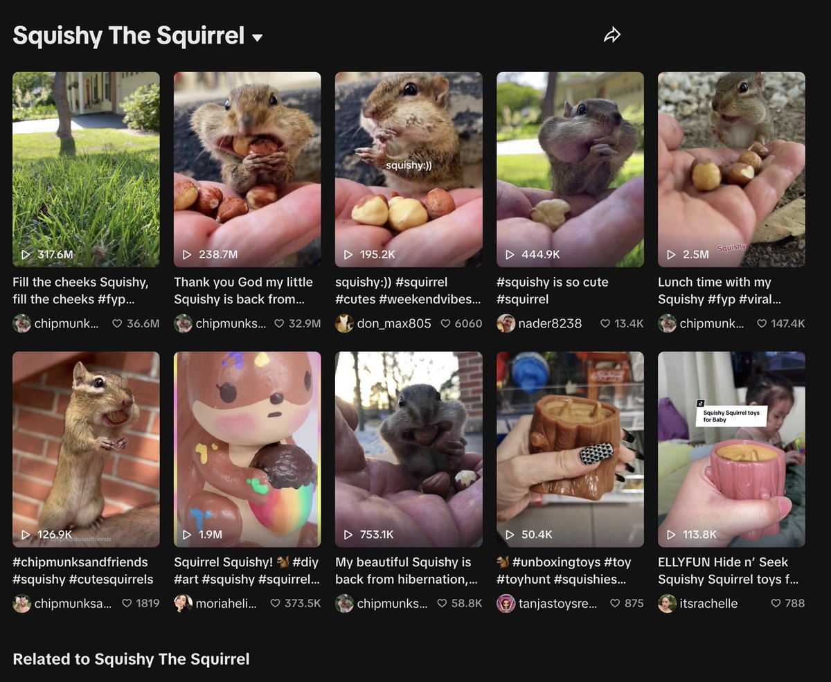 Squishy The Squirrel tweet media