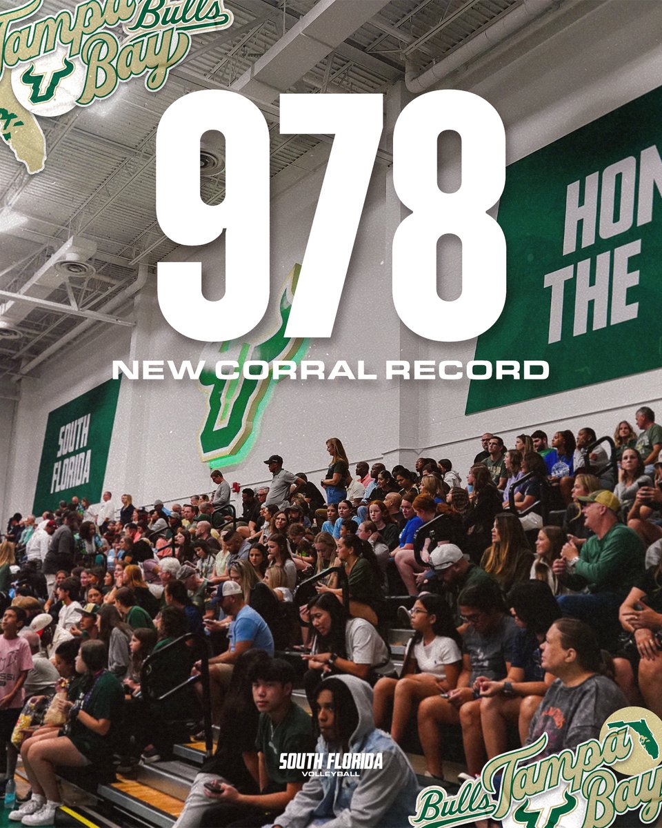 USF Volleyball tweet media