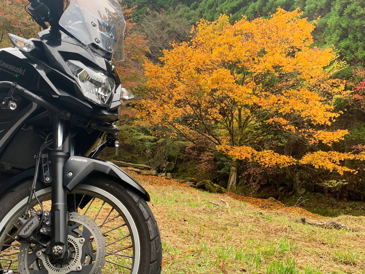 sinRebel250's tweet image. おそようございます😅

雨降ってきたじゃん🥲

#五木
#versys 250