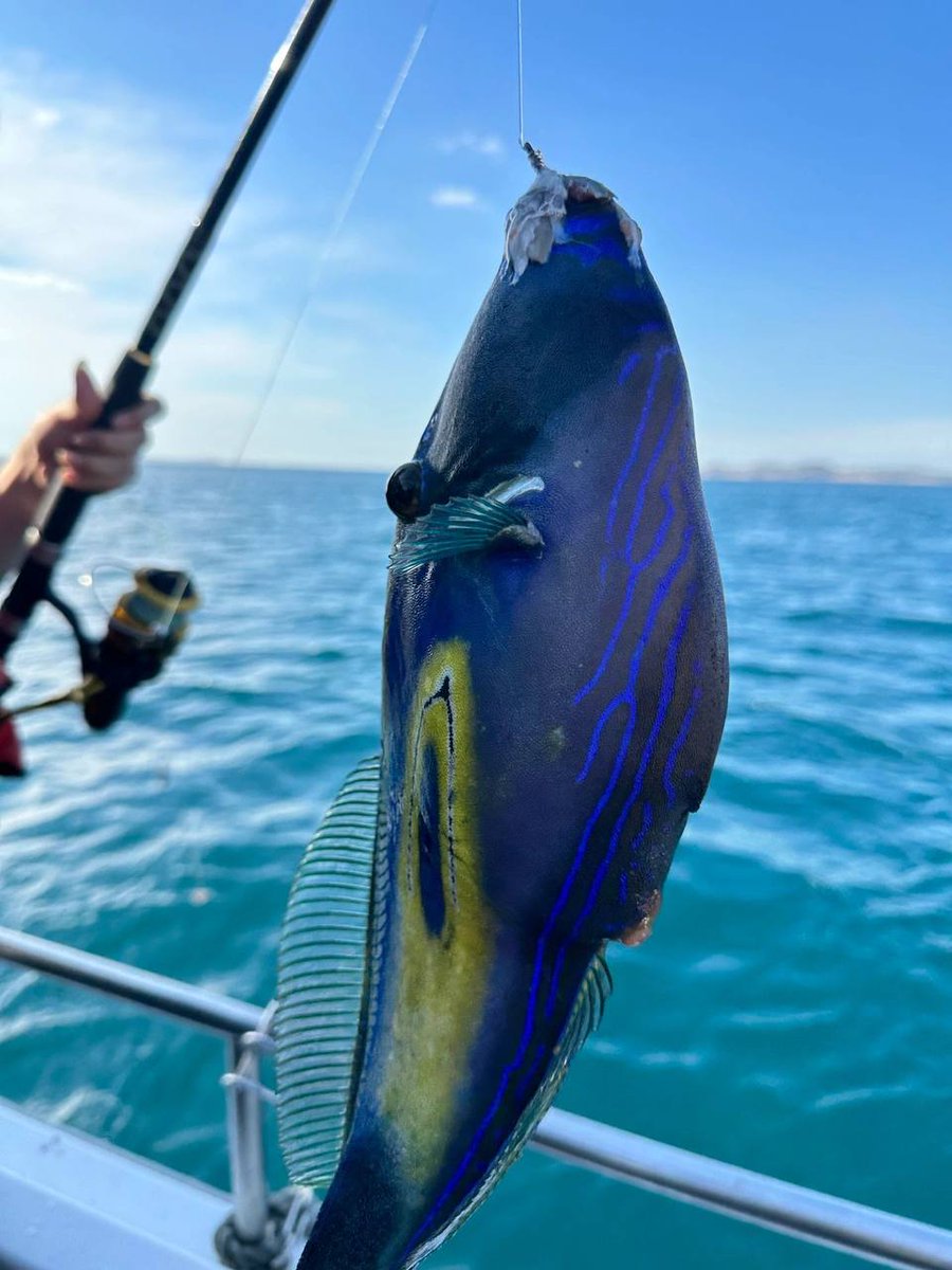 わっちも釣りに出ました(昨日)