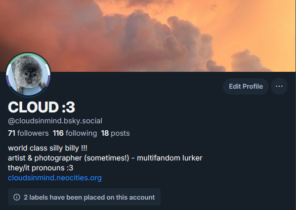cloudsinmind tweet picture