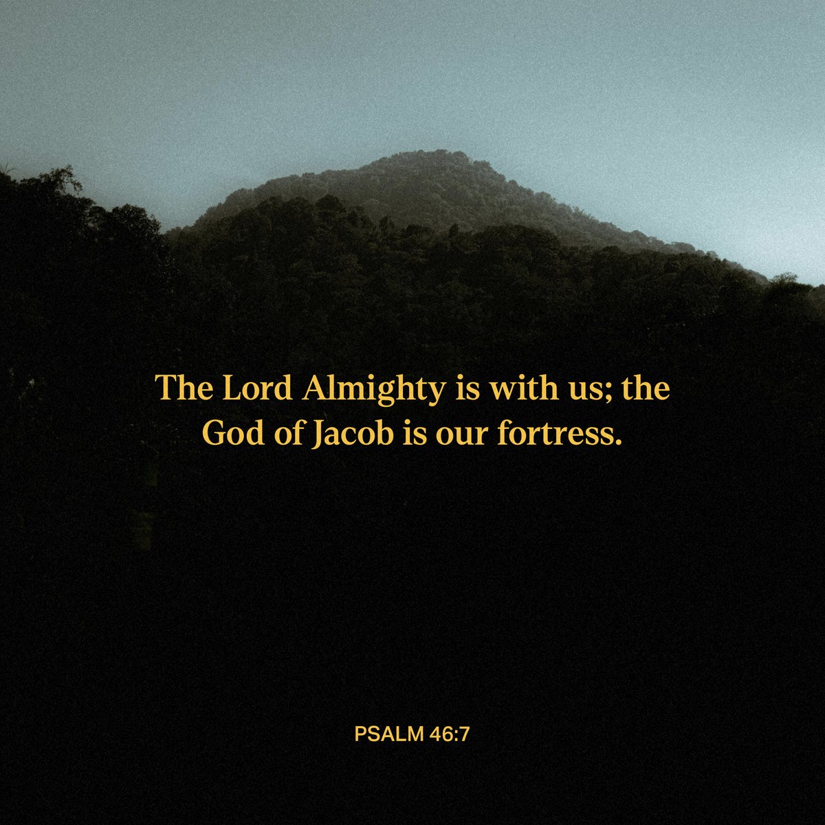 YouVersion Bible App tweet media