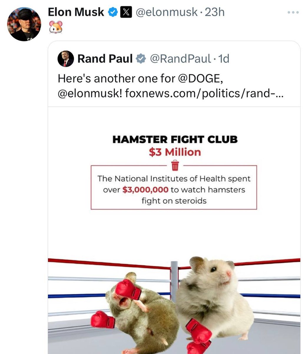 triple_exclam's tweet photo. @elonmusk your thread with @RandPaul about Hamster Fight Club was also interested... ;)

$HFC @HFCCTO https://t.co/eaEizLtfsg
