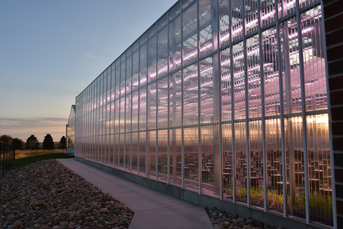 CABBI (@cabbibio) on Twitter photo We joined our <a href="/UofIllinois/">University of Illinois</a> partners today to celebrate the grand opening of the Plant Biology Innovation Greenhouse at <a href="/UIResearchPark/">University of Illinois Research Park</a>, which will accelerate #CABBI's work to develop productive, sustainable and climate-resilient bioenergy crops! 🌱
1/2⤵️ We joined our <a href="/UofIllinois/">University of Illinois</a> partners today to celebrate the grand opening of the Plant Biology Innovation Greenhouse at <a href="/UIResearchPark/">University of Illinois Research Park</a>, which will accelerate #CABBI's work to develop productive, sustainable and climate-resilient bioenergy crops! 🌱
1/2⤵️